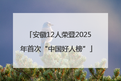 安徽12人荣登2025年首次“中国好人榜”