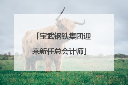 宝武钢铁集团迎来新任总会计师
