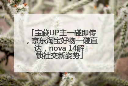 宝藏UP主一碰即传，京东淘宝好物一碰直达，nova 14解锁社交新姿势