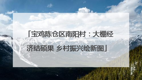 宝鸡陈仓区南阳村：大棚经济结硕果 乡村振兴绘新图