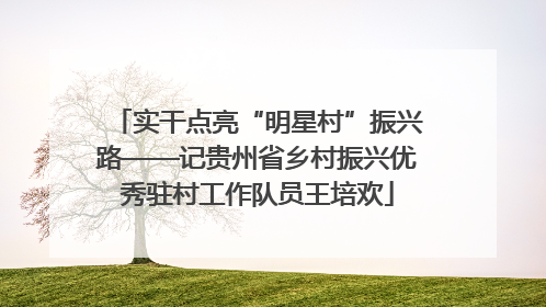 实干点亮“明星村”振兴路——记贵州省乡村振兴优秀驻村工作队员王培欢