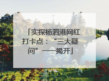 实探杨泗港网红打卡点：“三大疑问”一一揭开