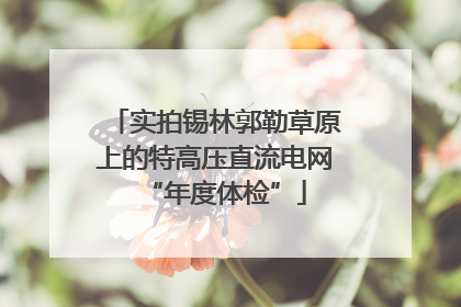 实拍锡林郭勒草原上的特高压直流电网“年度体检”
