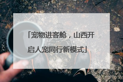 宠物进客舱，山西开启人宠同行新模式