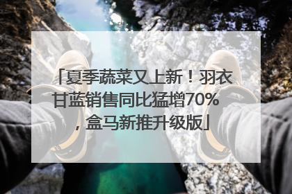 夏季蔬菜又上新！羽衣甘蓝销售同比猛增70%，盒马新推升级版