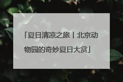 夏日清凉之旅丨北京动物园的奇妙夏日大赏
