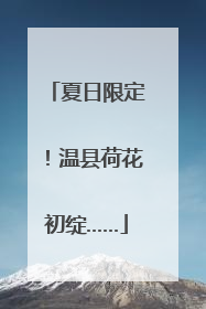 夏日限定！温县荷花初绽……