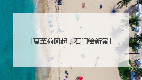 夏至荷风起，石门绘新景