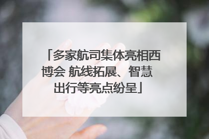 多家航司集体亮相西博会 航线拓展、智慧出行等亮点纷呈