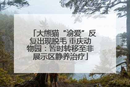 大熊猫“渝爱”反复出现脱毛 重庆动物园：暂时转移至非展示区静养治疗