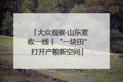 大众观察·山东麦收一线丨“一块田”打开产粮新空间