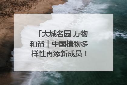 大城名园 万物和谐｜中国植物多样性再添新成员！它只在西藏墨脱