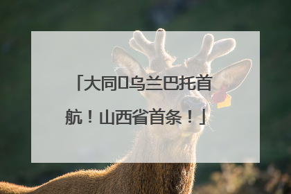 大同⇌乌兰巴托首航！山西省首条！