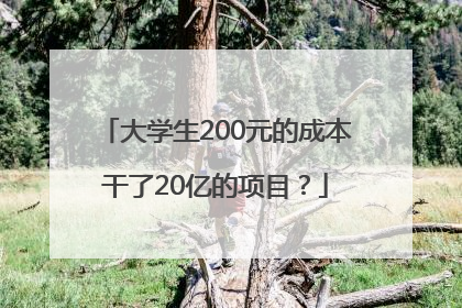 大学生200元的成本干了20亿的项目？