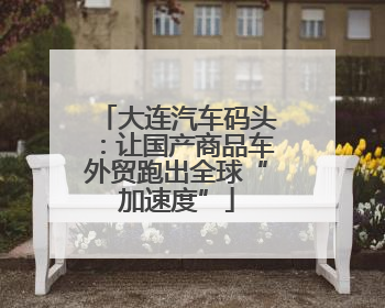 大连汽车码头：让国产商品车外贸跑出全球“加速度”