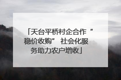 天台平桥村企合作“稳价收购” 社会化服务助力农户增收