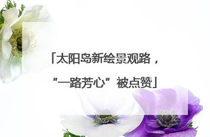 太阳岛新绘景观路，“一路芳心”被点赞