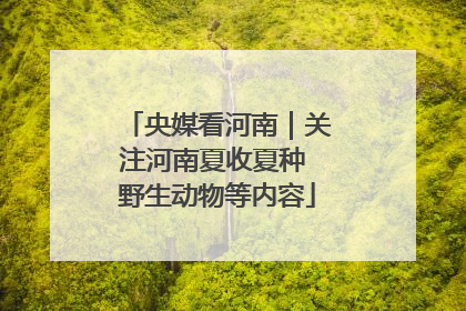 央媒看河南｜关注河南夏收夏种 野生动物等内容