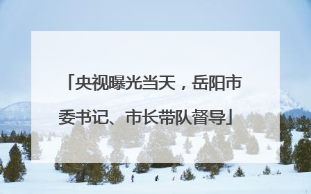 央视曝光当天，岳阳市委书记、市长带队督导