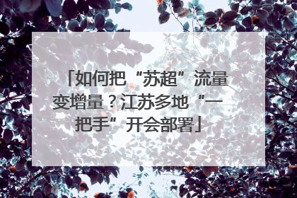 如何把“苏超”流量变增量？江苏多地“一把手”开会部署