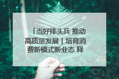 当好排头兵 推动高质量发展｜培育消费新模式新业态 释放经济增长新动能