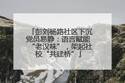 彭刘杨路社区下沉党员易静：语言赋能“老汉味”，架起社校“共建桥”