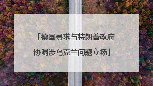 德国寻求与特朗普政府协调涉乌克兰问题立场