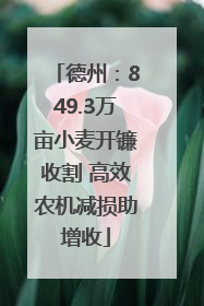 德州：849.3万亩小麦开镰收割 高效农机减损助增收