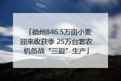 德州846.5万亩小麦迎来收获季 25万台套农机备战“三夏”生产