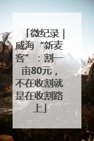 微纪录｜威海“新麦客”：割一亩80元，不在收割就是在收割路上