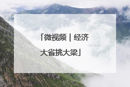 微视频｜经济大省挑大梁