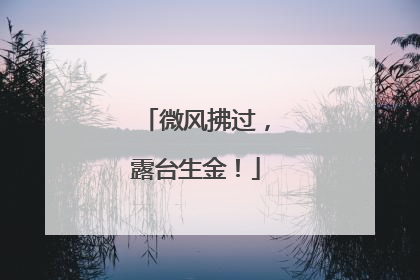 微风拂过，露台生金！