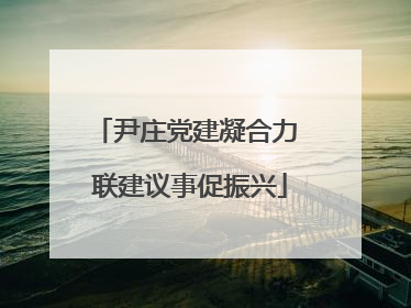 尹庄党建凝合力 联建议事促振兴