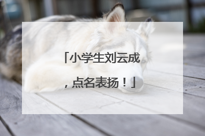 小学生刘云成，点名表扬！