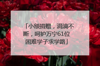 小额捐赠，涓滴不断，呵护万宁61位困难学子求学路