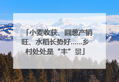 小麦收获、圆葱产销旺、水稻长势好……乡村处处是“丰”景