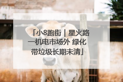 小8跑街｜星火路一机电市场外 绿化带垃圾长期未清
