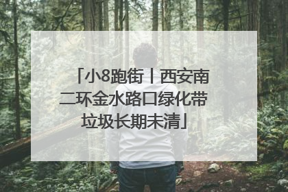 小8跑街丨西安南二环金水路口绿化带垃圾长期未清