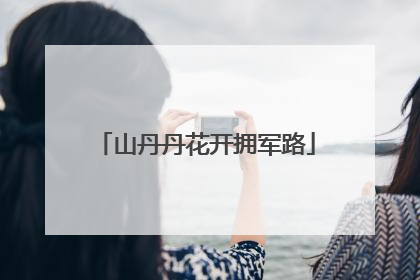 山丹丹花开拥军路