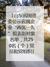 山东省国资委公示省属企业“两优一先”拟表彰对象名单，共250名（个）党员和党组织