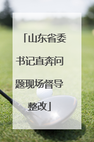 山东省委书记直奔问题现场督导整改