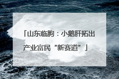 山东临朐：小鹅肝拓出产业富民“新赛道”