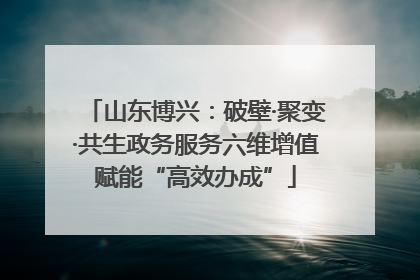 山东博兴：破壁·聚变·共生政务服务六维增值赋能“高效办成”