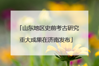 山东地区史前考古研究重大成果在济南发布