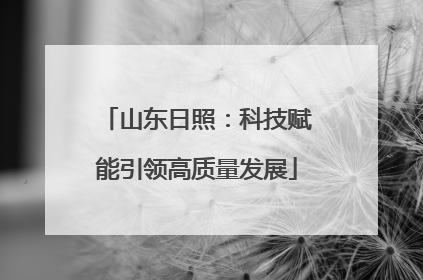 山东日照：科技赋能引领高质量发展