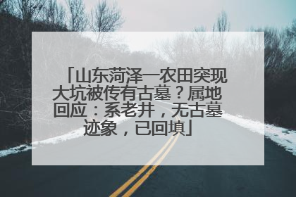 山东菏泽一农田突现大坑被传有古墓？属地回应：系老井，无古墓迹象，已回填