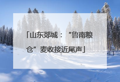 山东郯城：“鲁南粮仓”麦收接近尾声