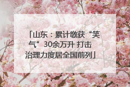 山东：累计缴获“笑气”30余万升 打击治理力度居全国前列