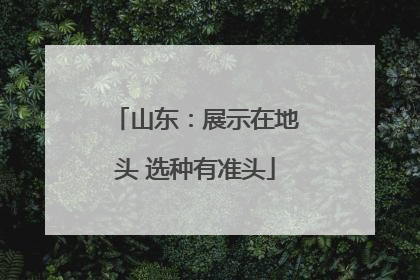 山东：展示在地头 选种有准头
