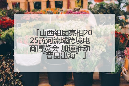 山西组团亮相2025黄河流域跨境电商博览会 加速推动“晋品出海”